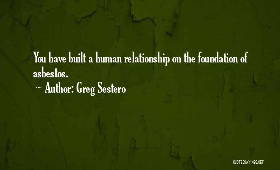 Friendship Built Quotes By Greg Sestero