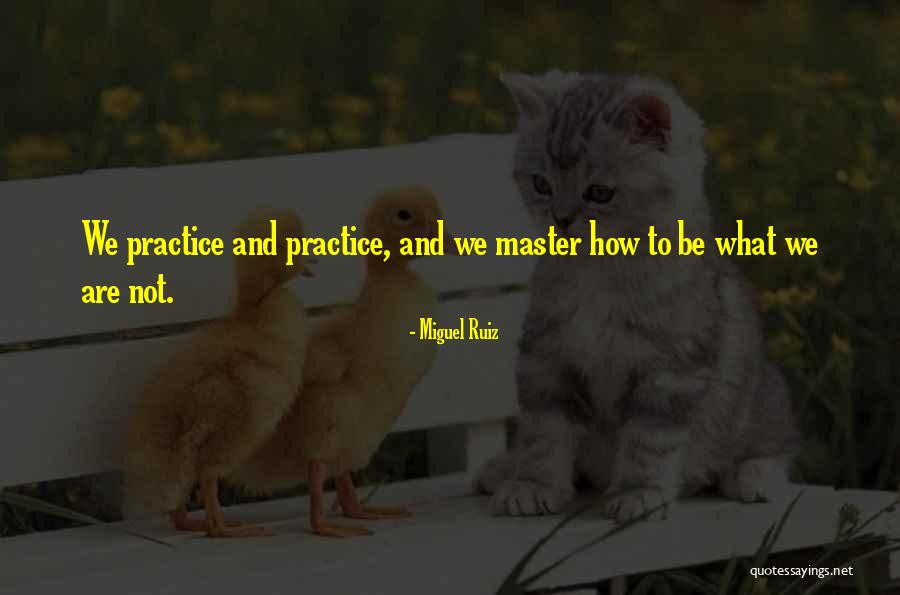 Friendship Cover Photos Quotes By Miguel Ruiz Friendship Cover Photos Quotes By Miguel Ruiz