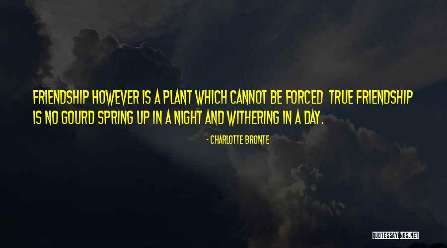 Friendship Day Quotes By Charlotte Bronte Friendship Day Quotes By Charlotte Bronte