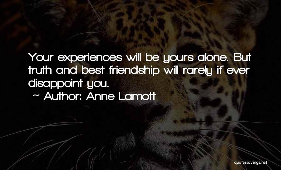 Friendship Disappoint Quotes By Anne Lamott