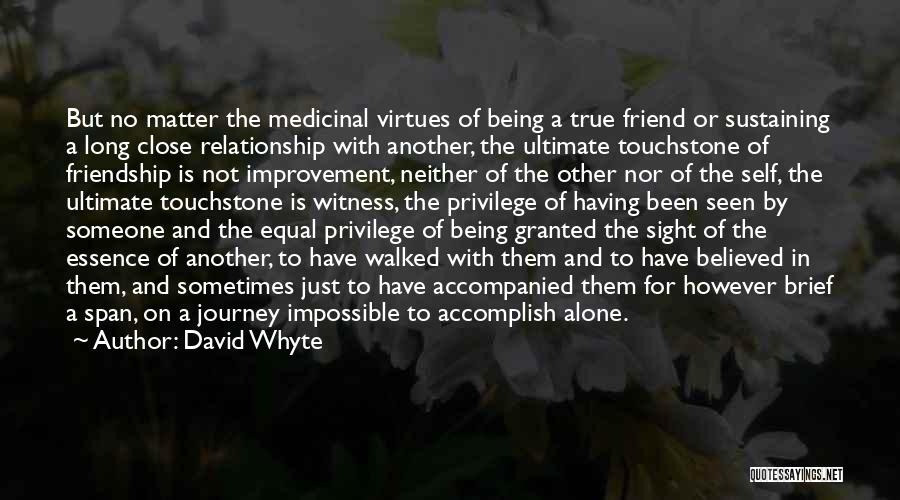 Friendship Equal Quotes By David Whyte