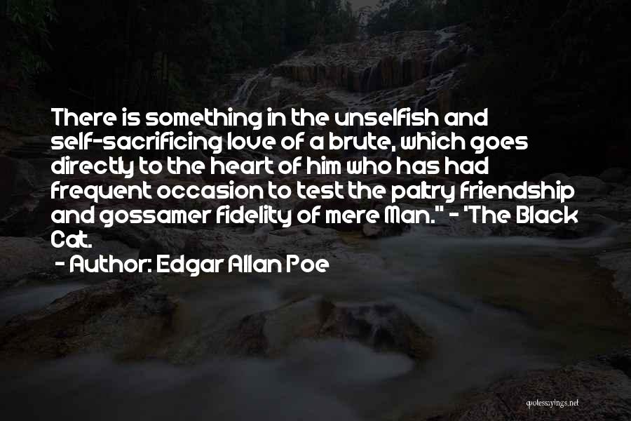 Friendship Goes To Love Quotes By Edgar Allan Poe