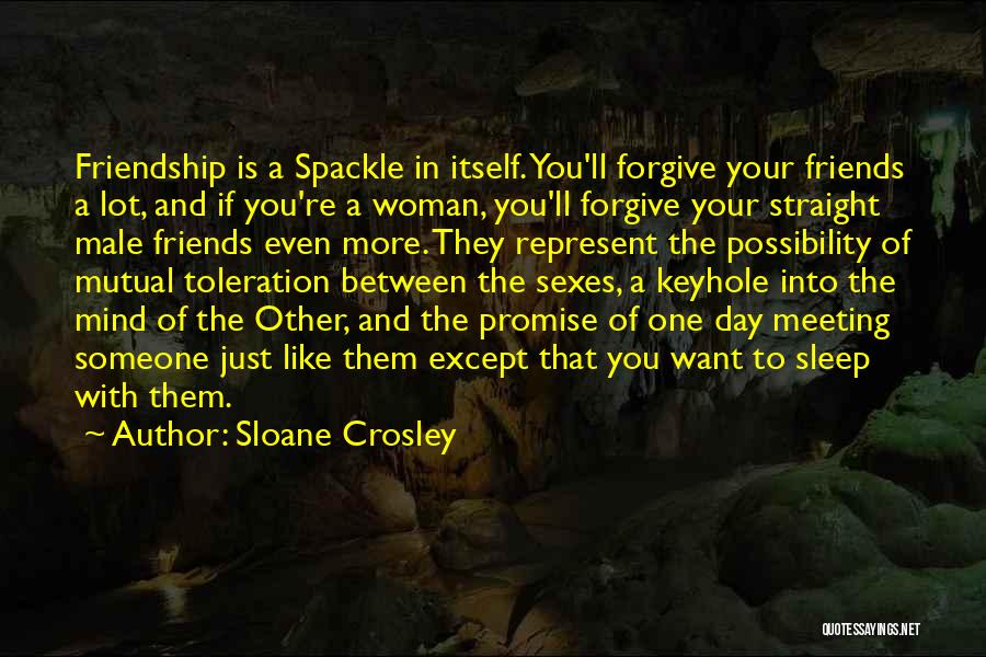 Friendship Into Love Quotes By Sloane Crosley