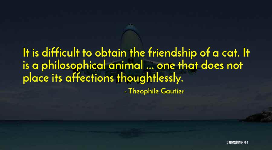 Friendship Is Difficult Quotes By Theophile Gautier