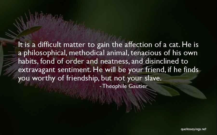 Friendship Is Difficult Quotes By Theophile Gautier