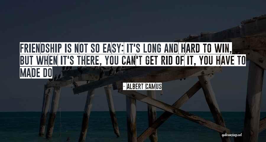 Friendship Is Not Easy Quotes By Albert Camus