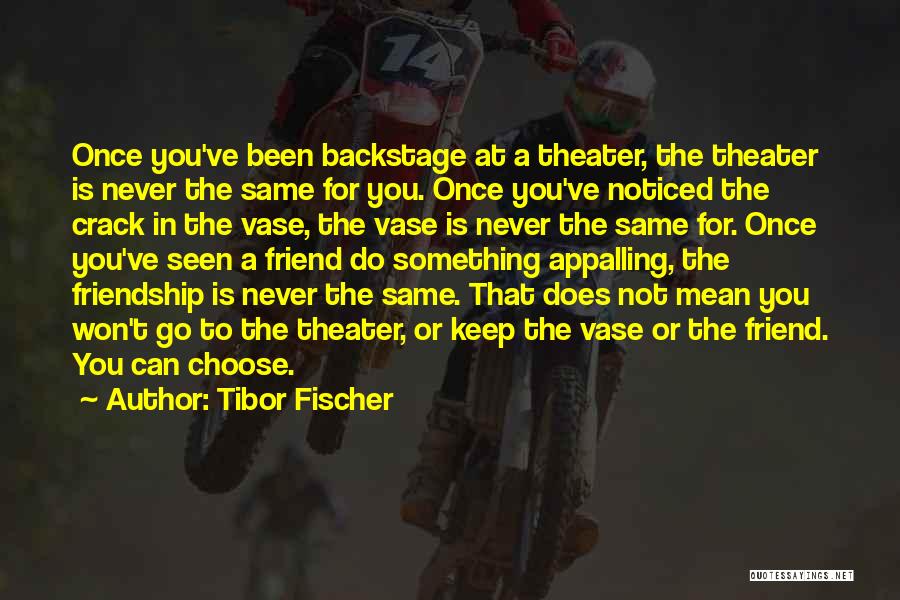 Friendship Is Not The Same Quotes By Tibor Fischer