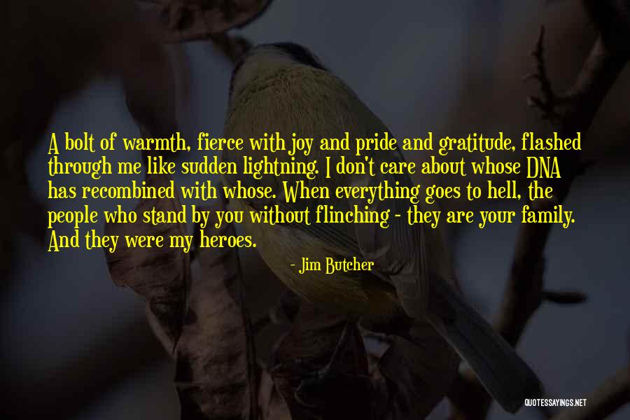 Friendship Like Family Quotes By Jim Butcher