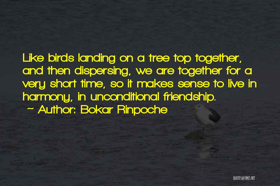 Friendship Like Tree Quotes By Bokar Rinpoche