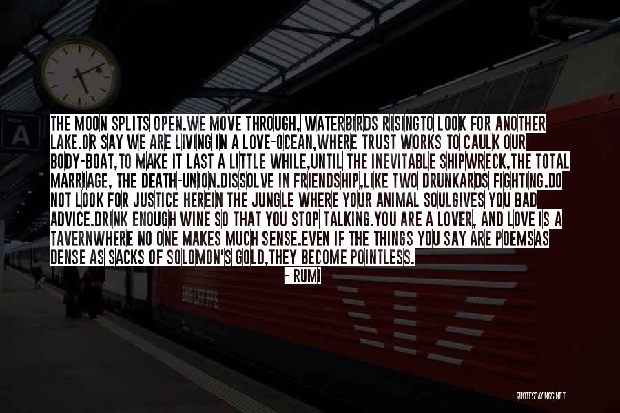 Friendship Like Wine Quotes By Rumi Friendship Like Wine Quotes By Rumi
