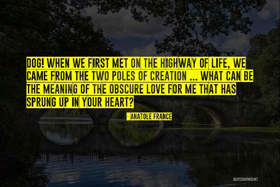 Friendship Meaning Quotes By Anatole France Friendship Meaning Quotes By Anatole France