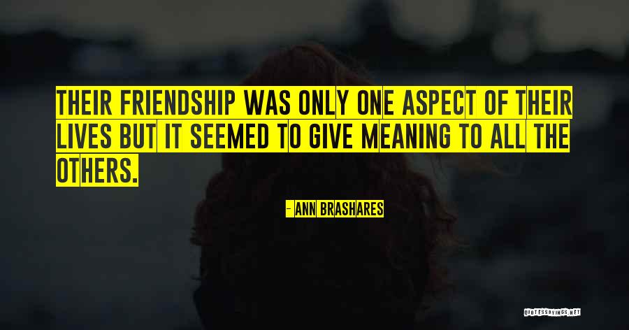 Friendship Meaning Quotes By Ann Brashares Friendship Meaning Quotes By Ann Brashares