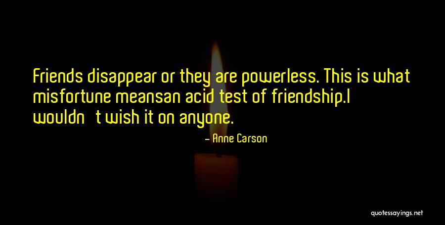 Friendship Means Quotes By Anne Carson