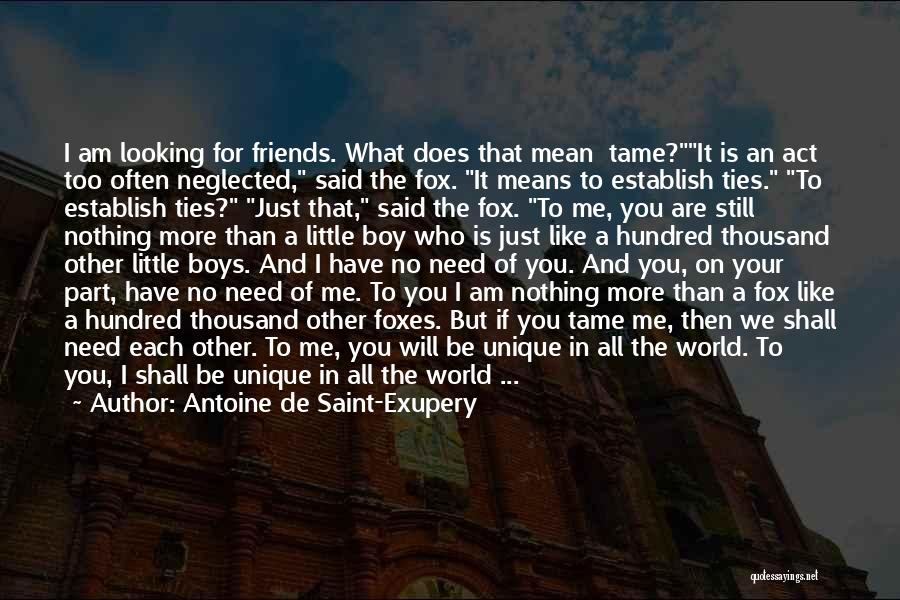 Friendship Means Quotes By Antoine De Saint-Exupery