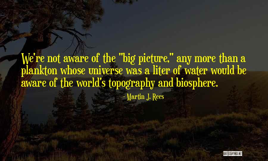Friendship Minions Quotes By Martin J. Rees Friendship Minions Quotes By Martin J. Rees