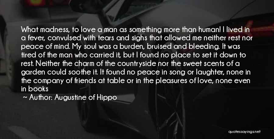 Friendship More Than Love Quotes By Augustine Of Hippo