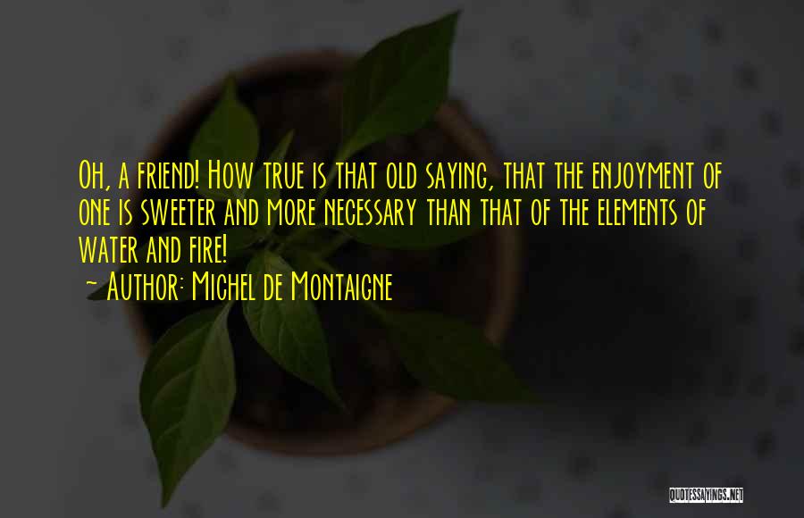 Friendship More Than Love Quotes By Michel De Montaigne