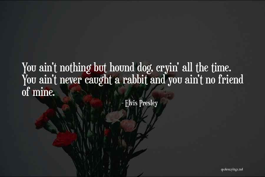 Friendship Of A Dog Quotes By Elvis Presley Friendship Of A Dog Quotes By Elvis Presley
