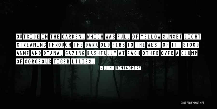 Friendship Over Love Quotes By L.M. Montgomery Friendship Over Love Quotes By L.M. Montgomery