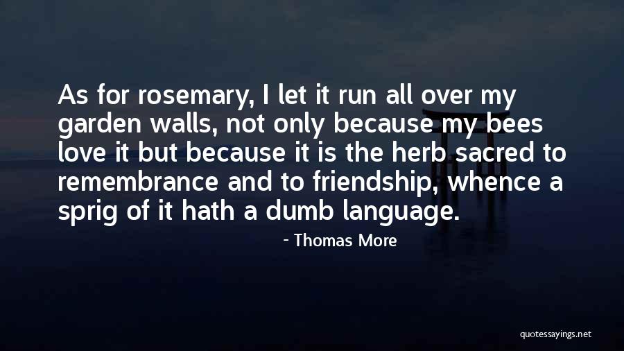 Friendship Over Love Quotes By Thomas More