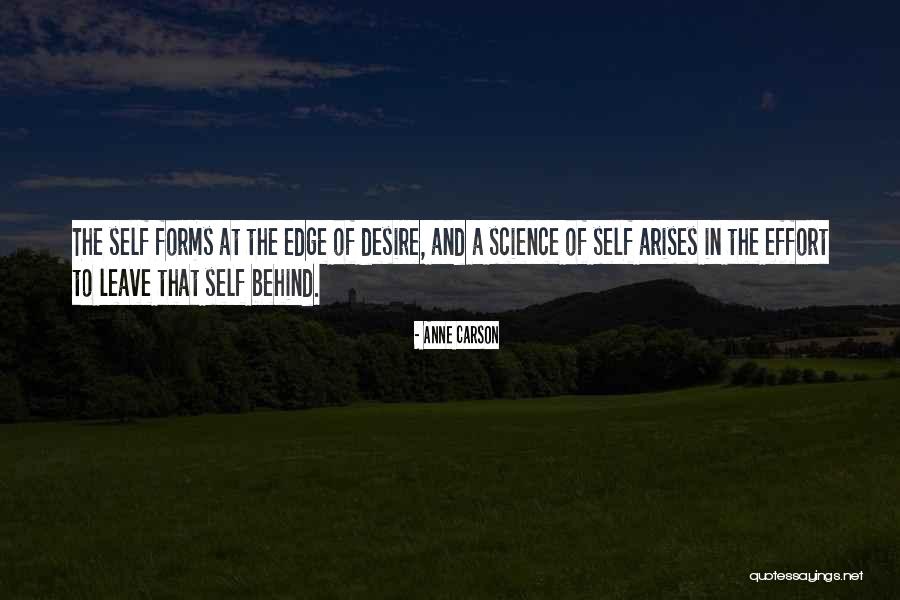 Friendship Pyramid Quotes By Anne Carson Friendship Pyramid Quotes By Anne Carson