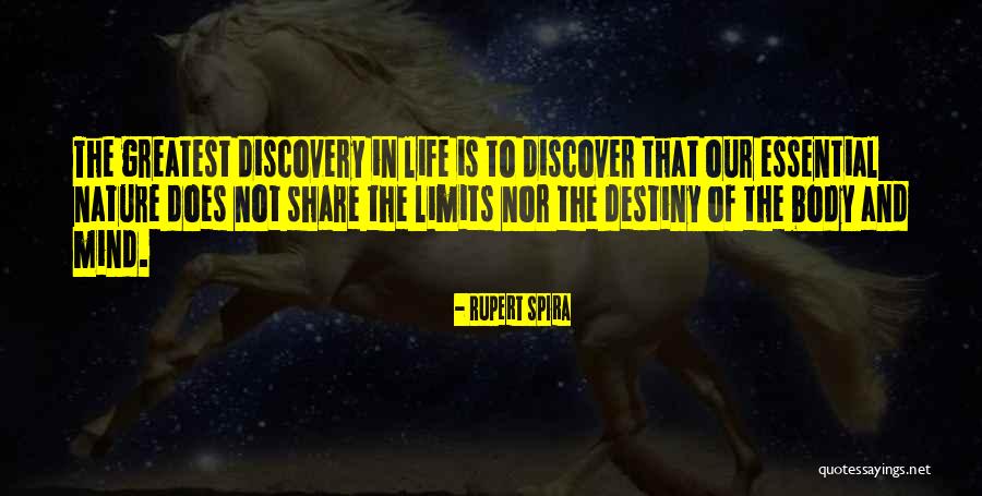 Friendship Pyramid Quotes By Rupert Spira Friendship Pyramid Quotes By Rupert Spira