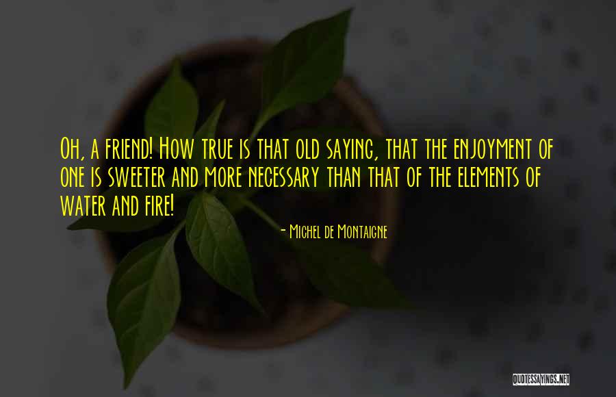 Friendship Saying Quotes By Michel De Montaigne Friendship Saying Quotes By Michel De Montaigne