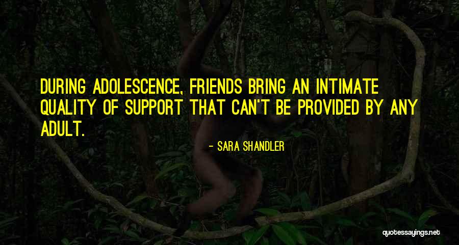 Friendship Support Quotes By Sara Shandler Friendship Support Quotes By Sara Shandler