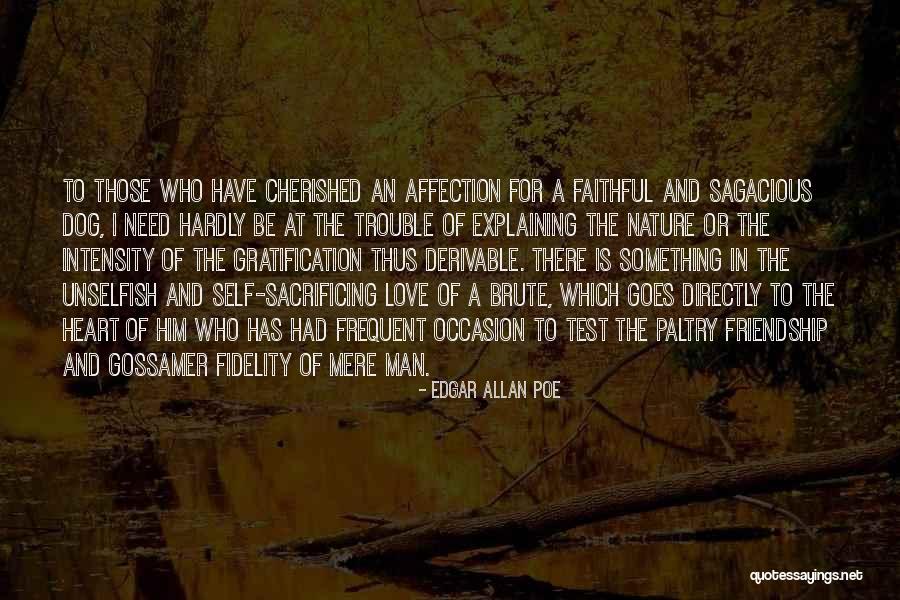 Friendship Trouble Quotes By Edgar Allan Poe Friendship Trouble Quotes By Edgar Allan Poe