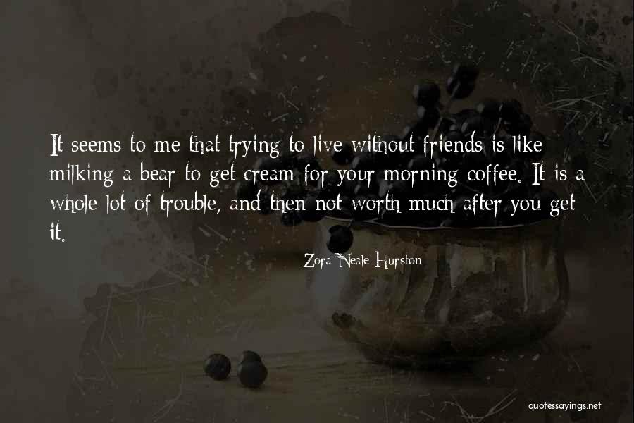 Friendship Trouble Quotes By Zora Neale Hurston Friendship Trouble Quotes By Zora Neale Hurston