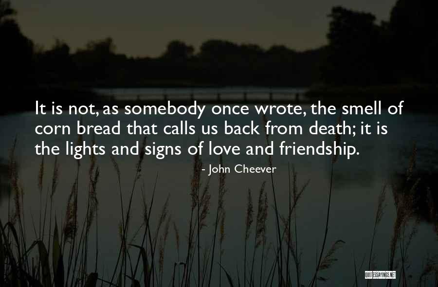 Friendship Versus Love Quotes By John Cheever