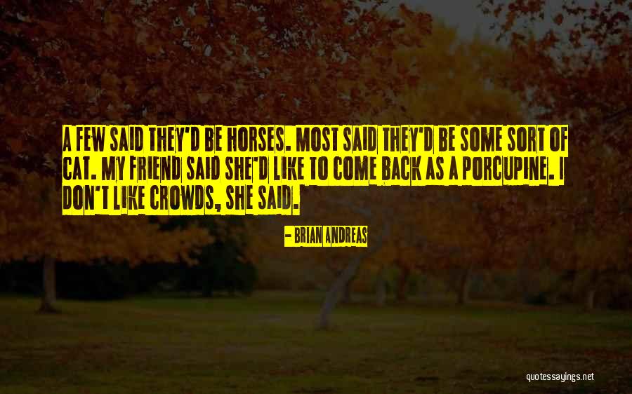 Friendship With Horses Quotes By Brian Andreas