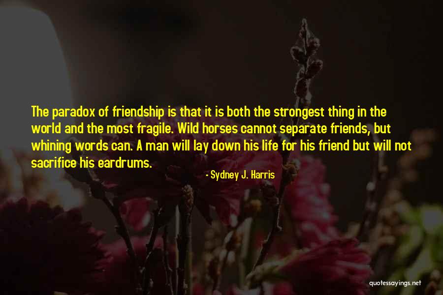 Friendship With Horses Quotes By Sydney J. Harris