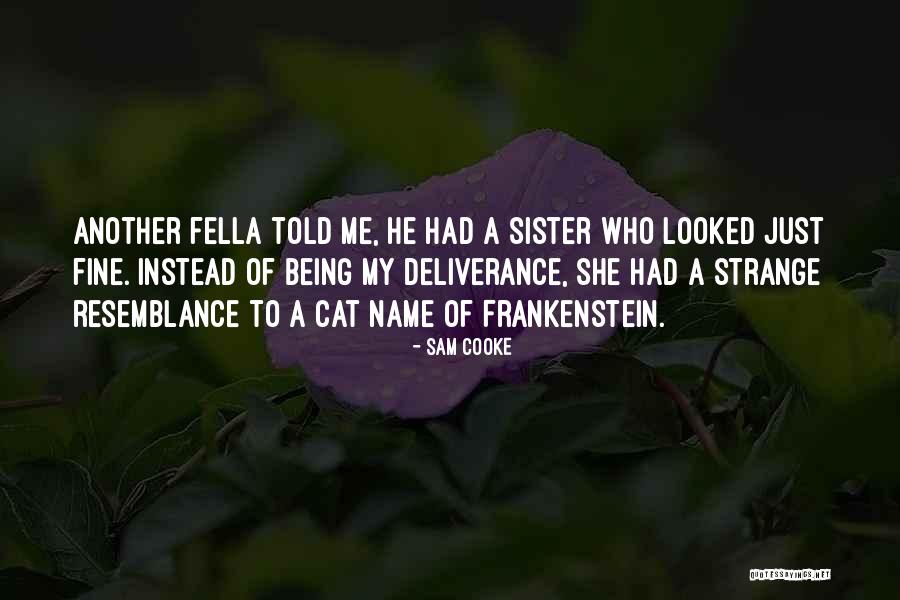 Friendship With Sister Quotes By Sam Cooke