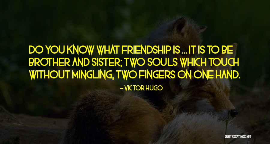 Friendship With Sister Quotes By Victor Hugo Friendship With Sister Quotes By Victor Hugo