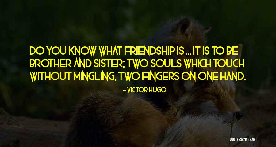 Friendship With Sister Quotes By Victor Hugo