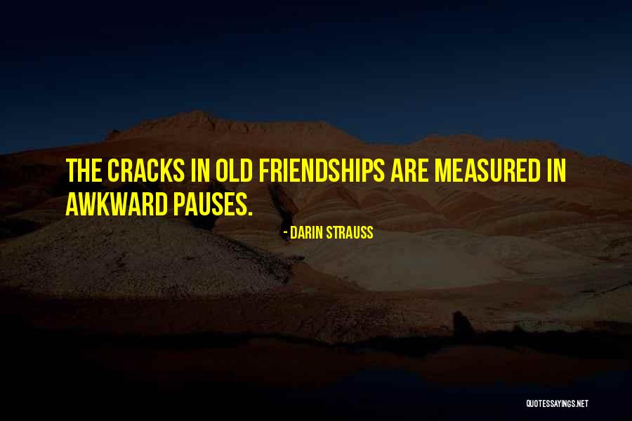 Friendships That End Quotes By Darin Strauss