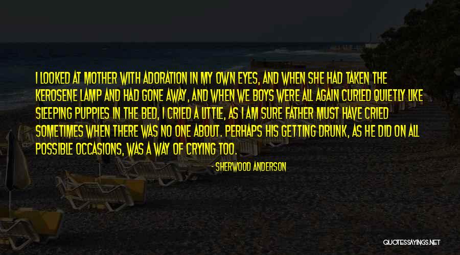 Frifelt Skatepark Quotes By Sherwood Anderson Frifelt Skatepark Quotes By Sherwood Anderson