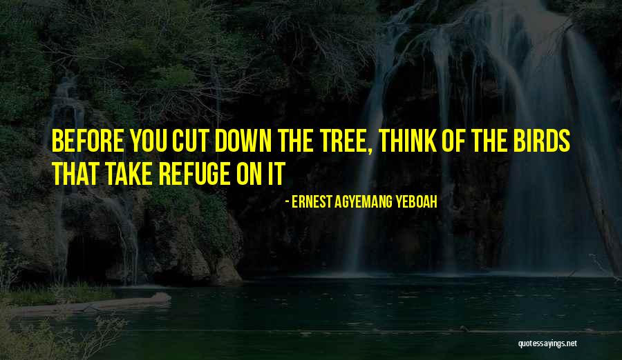 Friggin Chuck Quotes By Ernest Agyemang Yeboah Friggin Chuck Quotes By Ernest Agyemang Yeboah