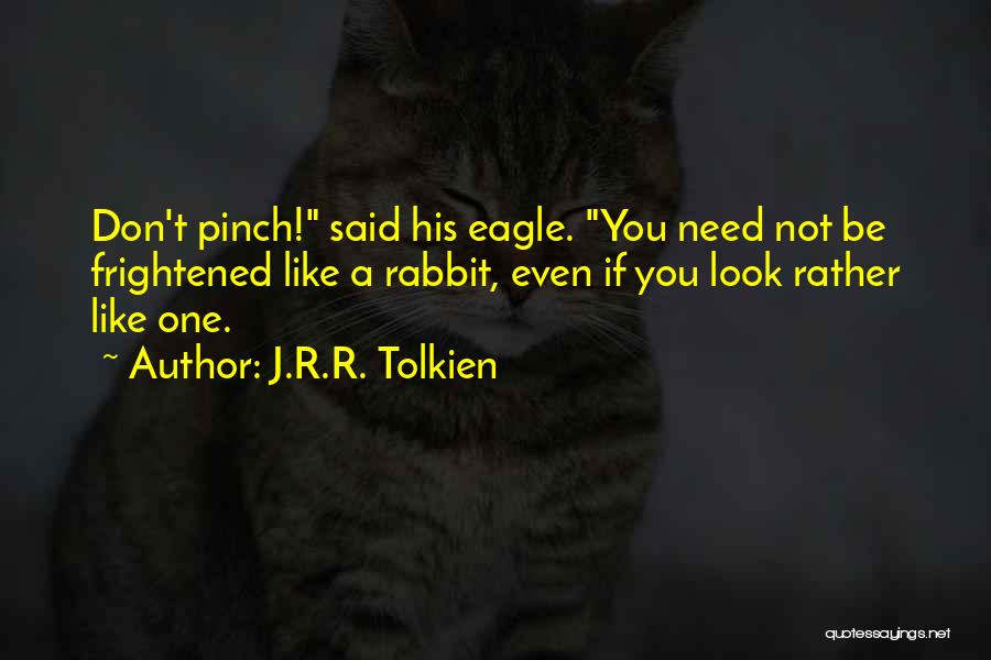 Frightened Rabbit Quotes By J.R.R. Tolkien