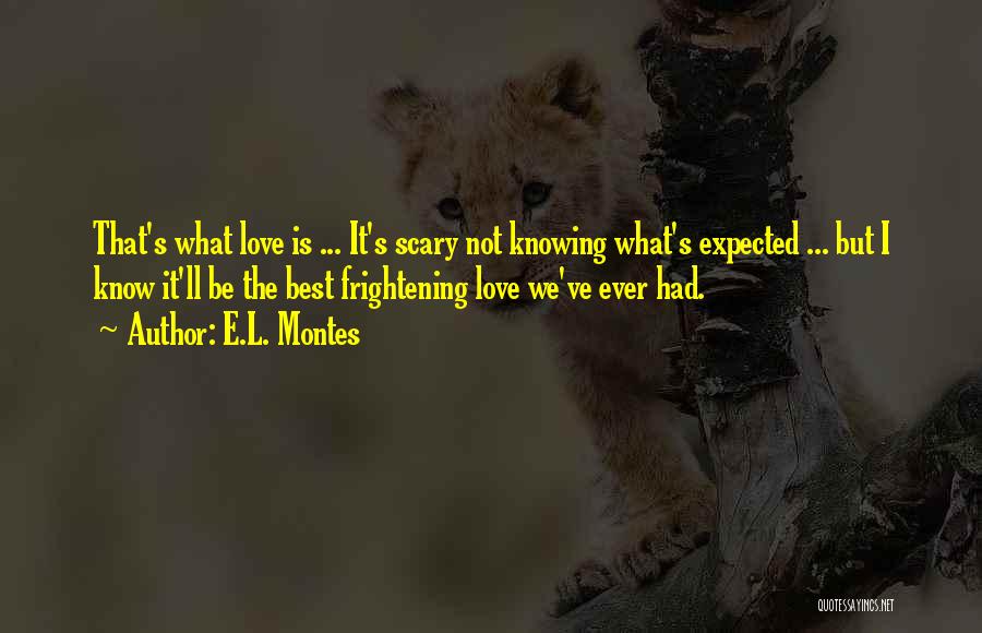 Frightening Love Quotes By E.L. Montes