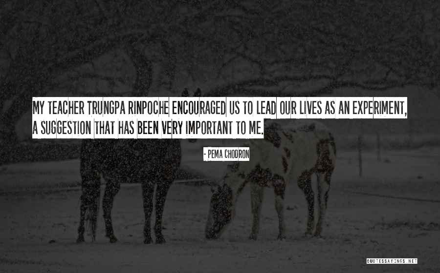 Frigidaire Dehumidifier Quotes By Pema Chodron Frigidaire Dehumidifier Quotes By Pema Chodron