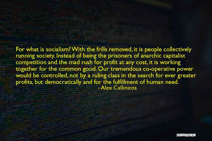 Frills Quotes By Alex Callinicos Frills Quotes By Alex Callinicos