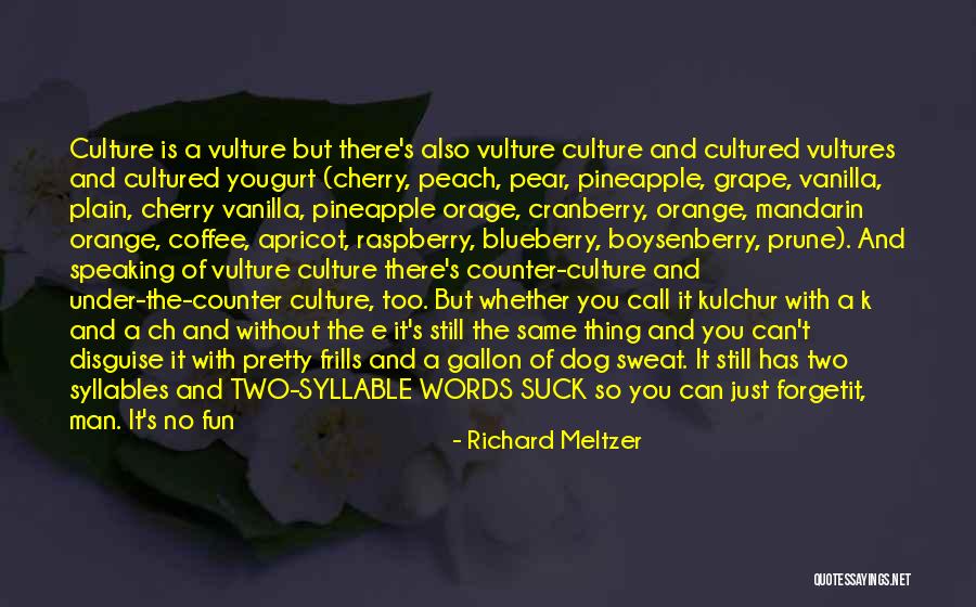 Frills Quotes By Richard Meltzer