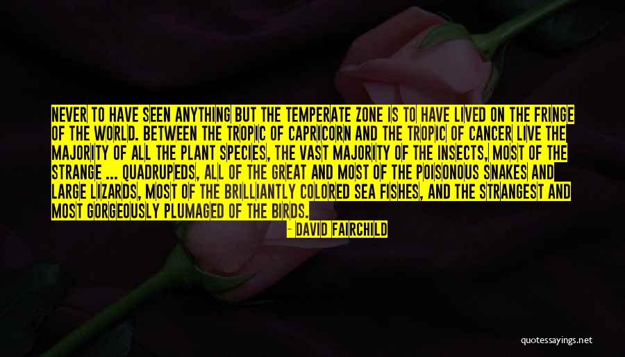 Fringe Quotes By David Fairchild