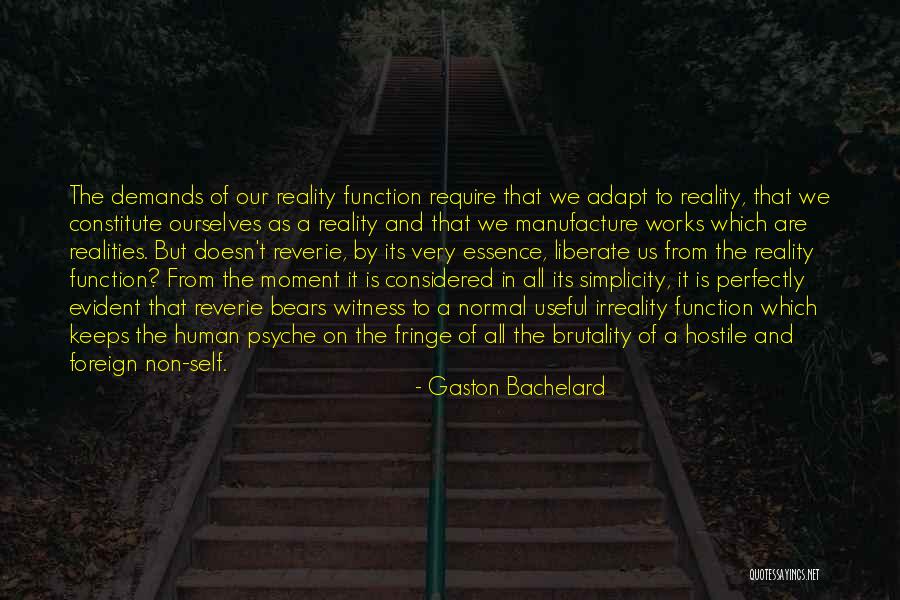 Fringe Quotes By Gaston Bachelard