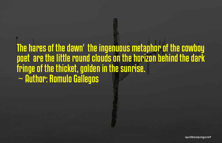 Fringe Quotes By Romulo Gallegos