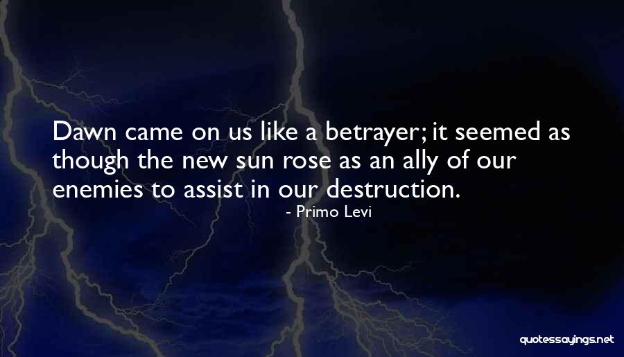 Fringilla The Witcher Quotes By Primo Levi Fringilla The Witcher Quotes By Primo Levi