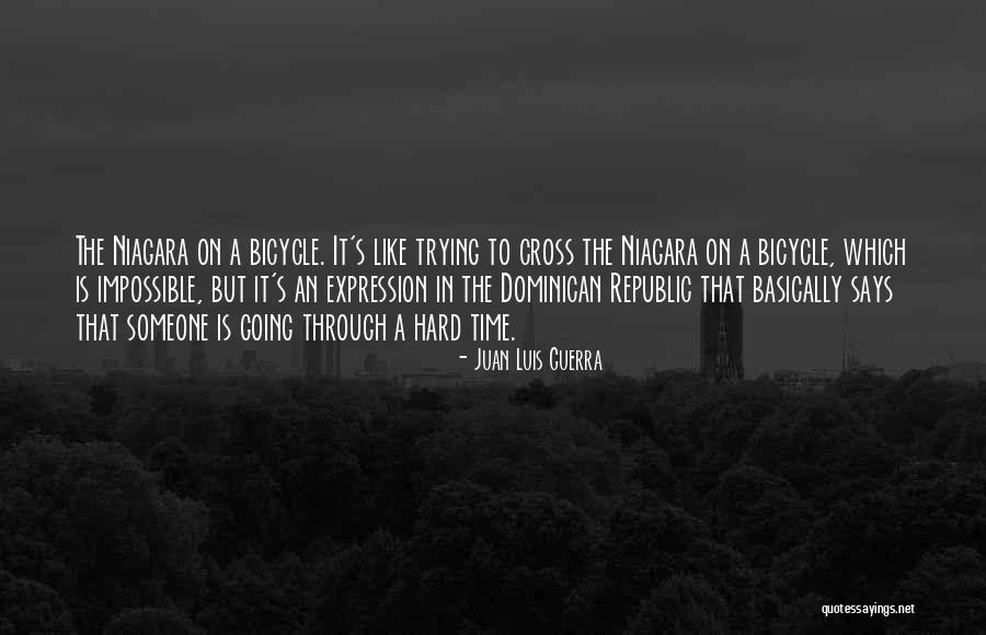 Frise Dog Quotes By Juan Luis Guerra Frise Dog Quotes By Juan Luis Guerra