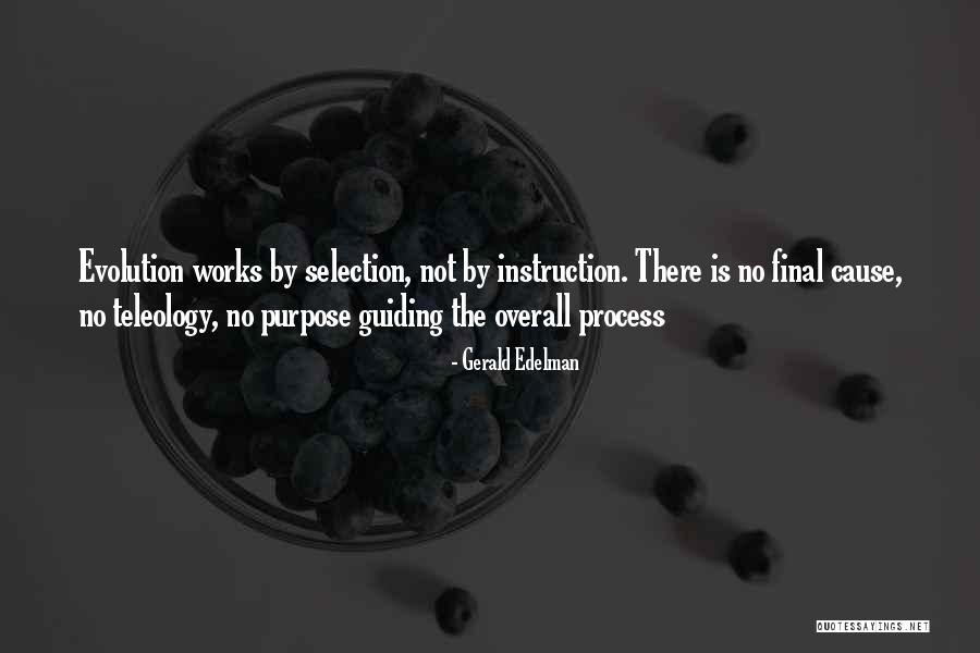 Fritangas Quotes By Gerald Edelman Fritangas Quotes By Gerald Edelman